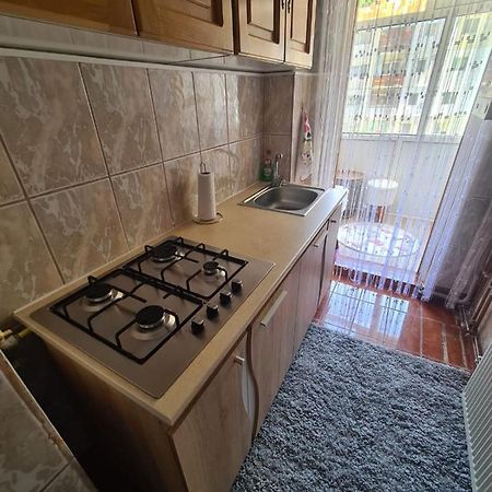 Apartmán Garsoniera Slanic-Moldova Exteriér fotografie
