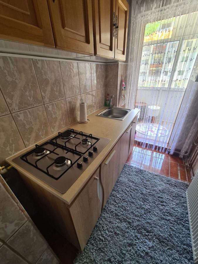 Apartmán Garsoniera Slanic-Moldova Exteriér fotografie